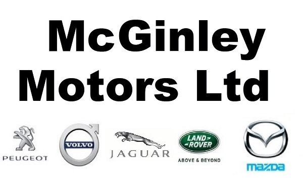 mcginley motors